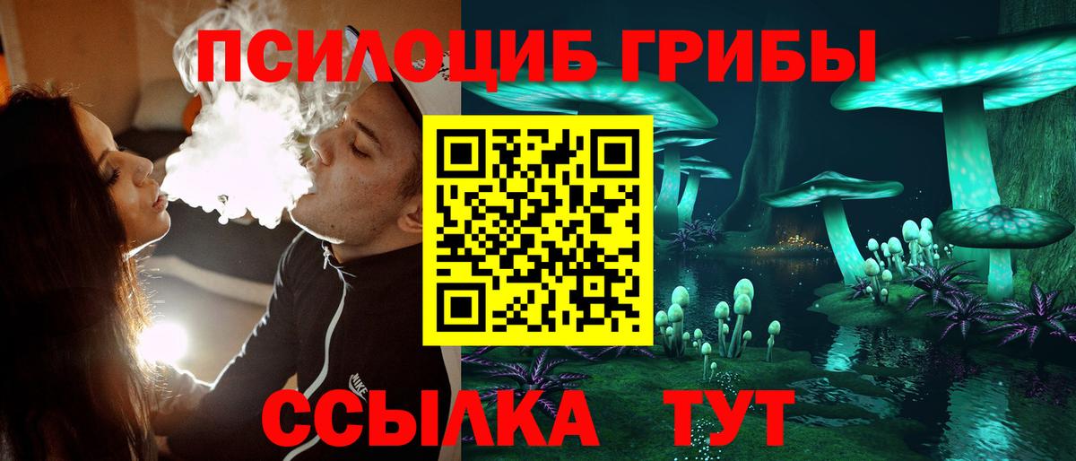 Псилоцибиновые грибы Psilocybine cubensis  Вход с VPN  Чехов 